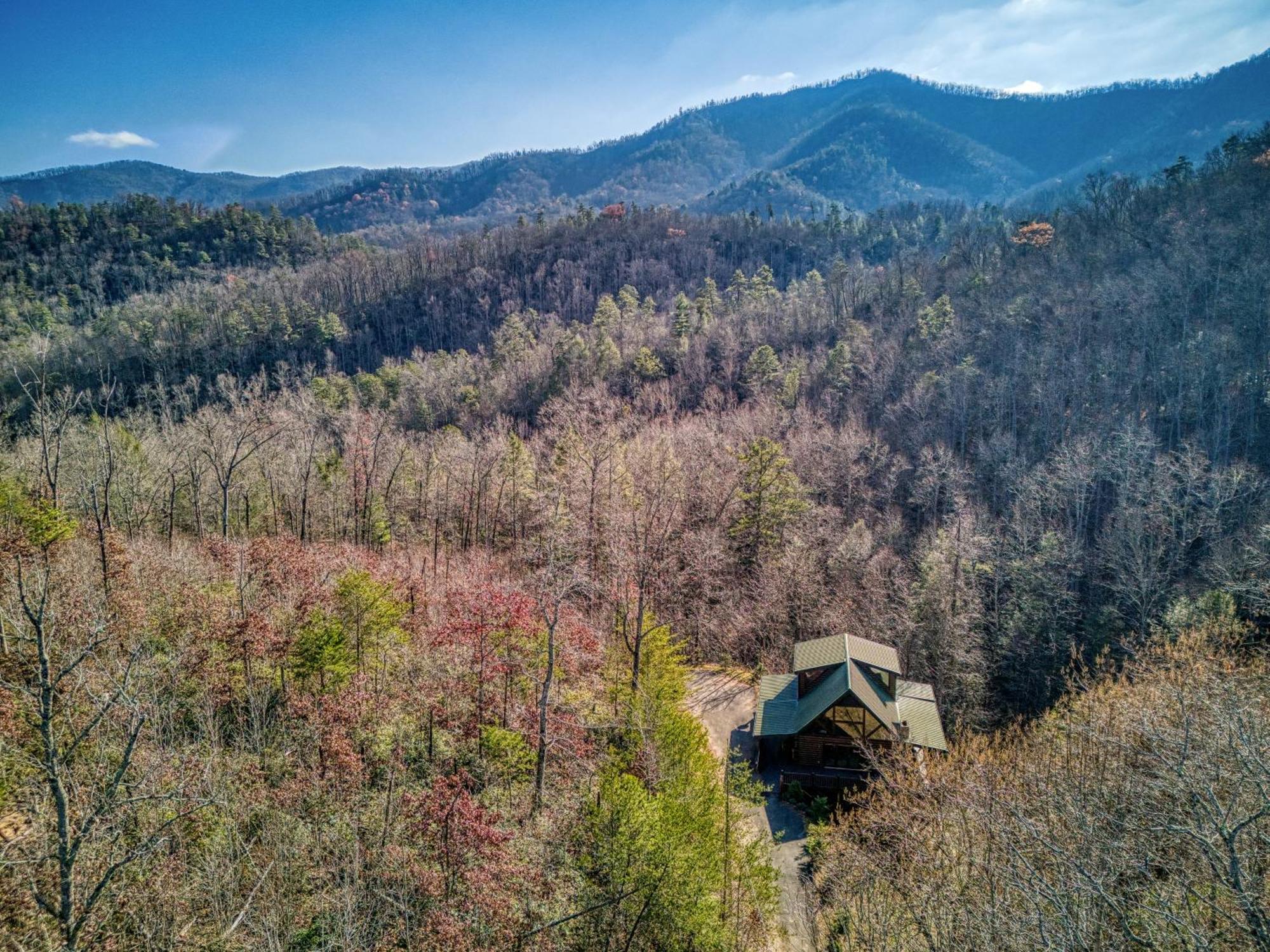 Heavenly Bear, Hot Tub, 1089 Of Free Attraction Tickets For Each Paid Day, Dollywood And More Sevierville Exterior foto